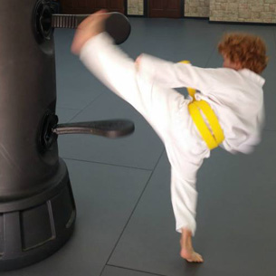 Punching Bag, Kickboxing & Fitness Training | Dojo To Go | Sarasota, FL