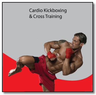 The DOJO To Go system is the perfect addition to kickboxing, martial arts & fitness training programs. Contact us today for product details & more!